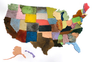 USA (Used Sponges Assemblage)